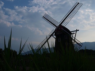 170810 (35).jpg