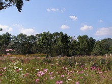 20141019_1.jpg