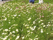 20141019_2.jpg