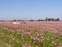 20141019_7.jpg
