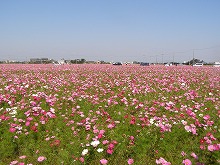 20141019_8.jpg