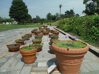 20170802_1.jpg