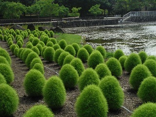20170802_10.jpg