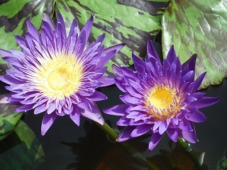 20170802_4.jpg