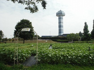 20170802_9.jpg