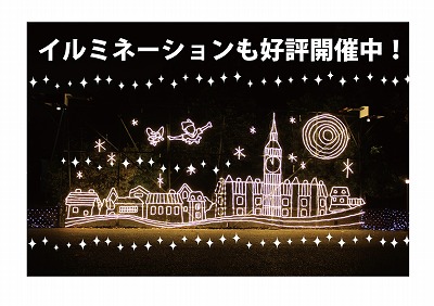 イルミも開催中.jpg