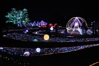 IMG_3313.jpg