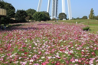 IMG_4463.jpg