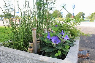 0819 (2).jpg