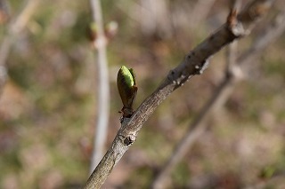 170317 (13).jpg