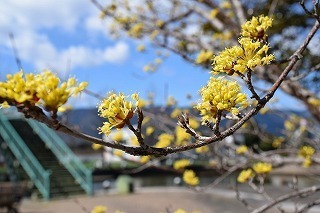 170317 (34).jpg