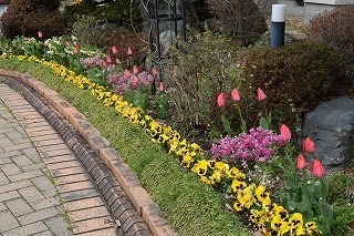 170401 (21).jpg