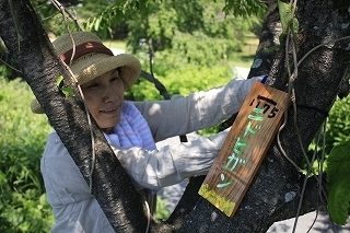 190525樹名札 (20).jpg