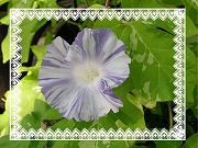 20120805_1.jpg