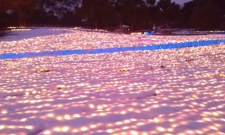 20121212_2.jpg