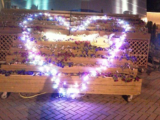 20121212_5.jpg
