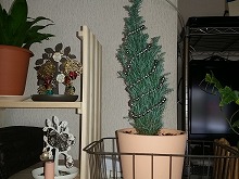 20121212_6.jpg