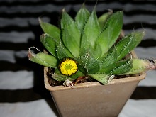 20121212_7.jpg