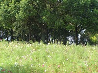 20130921_5.jpg