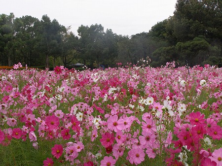 20131005_2.jpg