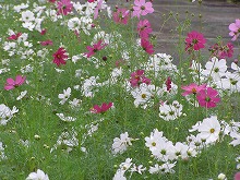 20131005_4.jpg