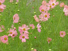 20131005_5.jpg