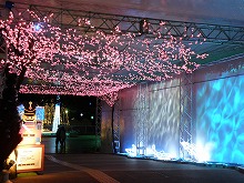 20140102_4.jpg
