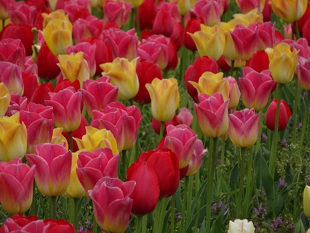 20140413_1.jpg