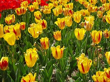 20140415_083_ワシントン.jpg