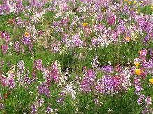 20140427_1.jpg
