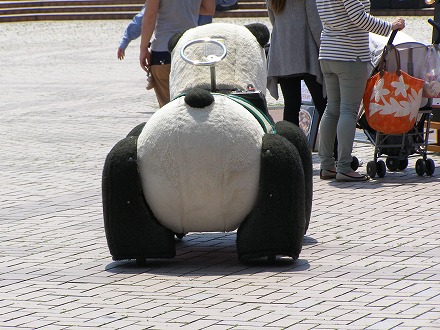 20140427_10.jpg