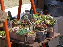20140427_4.jpg