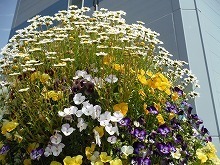20140503_3.jpg