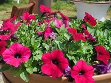 20140503_4.jpg