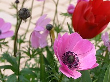 20140507_1.jpg