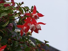 20140507_2.jpg