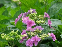 20140608_7.jpg