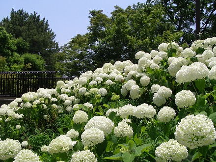20140615_1.jpg
