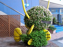 20140814_8.jpg