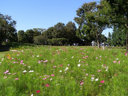 20140913_2.jpg
