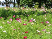 20140913_3.jpg