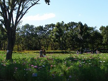 20140913_4.jpg