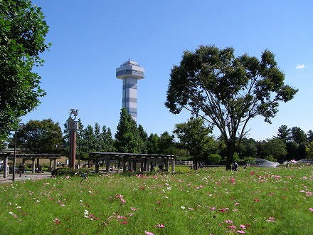 20140914_1.jpg