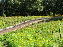 20140914_3.jpg