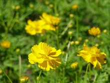 20140914_4.jpg