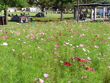 20140914_5.jpg