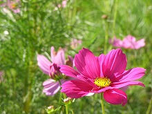 20140914_6.jpg