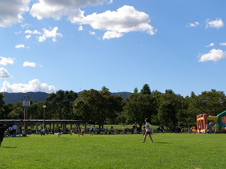 20140914_9.jpg