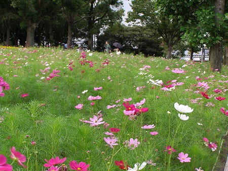 20140915_1.jpg