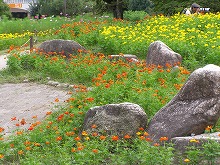 20140915_3.jpg
